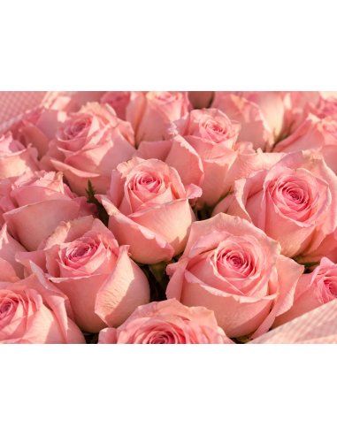 Detail of a fresh 35-pink-rose bouquet