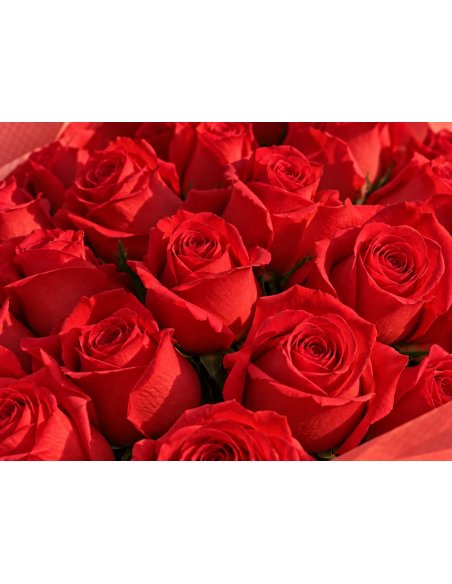 Ramo rosas rojas Freedom 25–99 | Mallorca