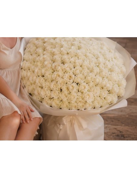 Monobouquet de Rosas Blancas XXL (100 a 501) | Mallorca